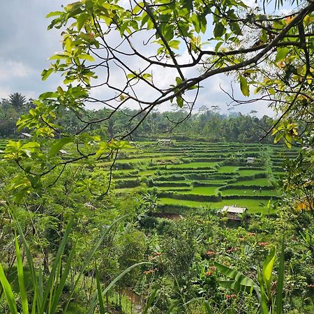 Hide And Seek Tetebatu Bagian luar foto