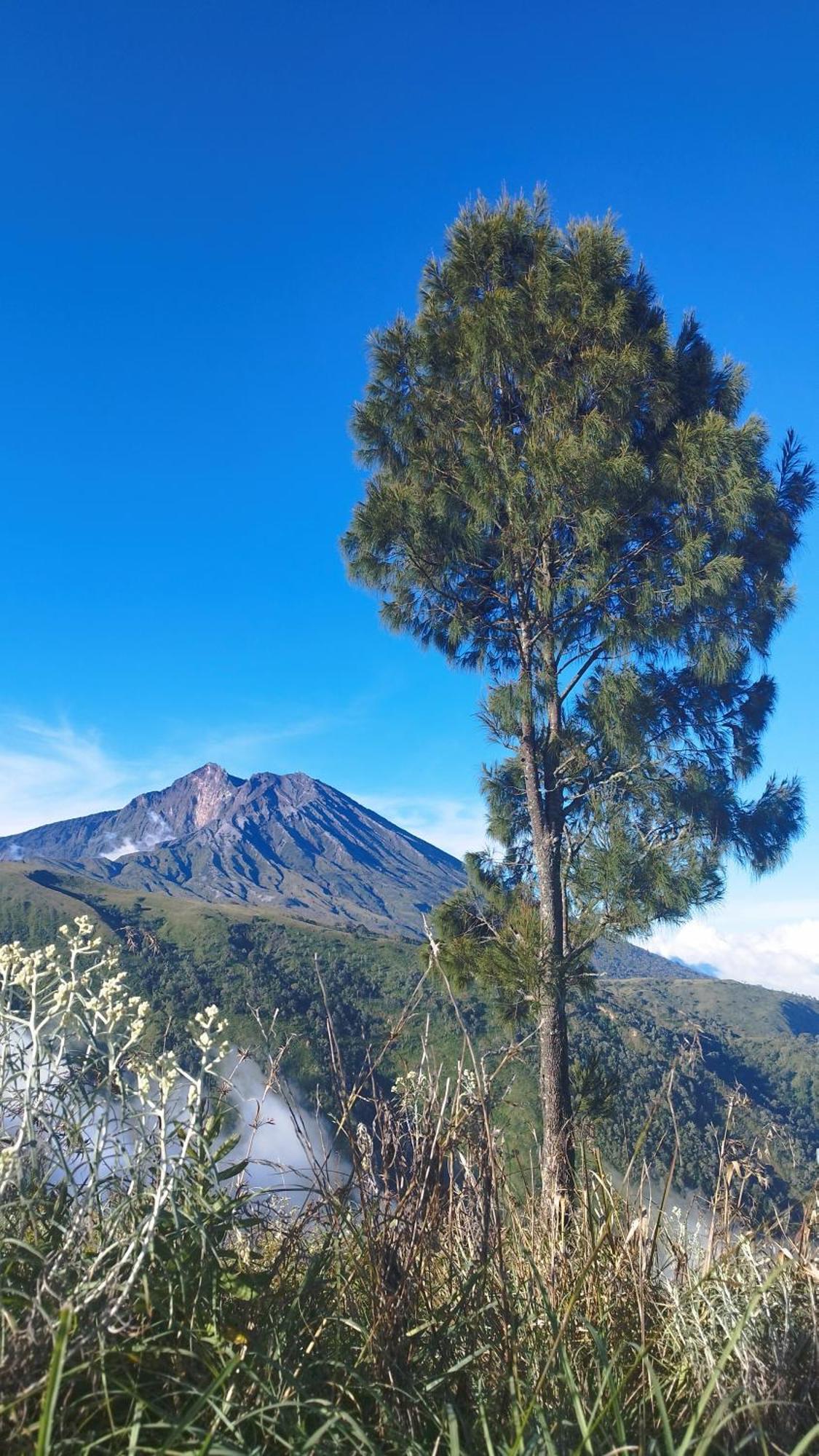 Hide And Seek Tetebatu Bagian luar foto