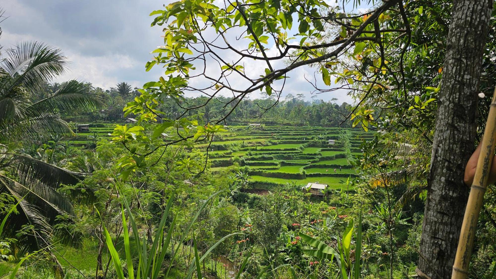 Hide And Seek Tetebatu Bagian luar foto
