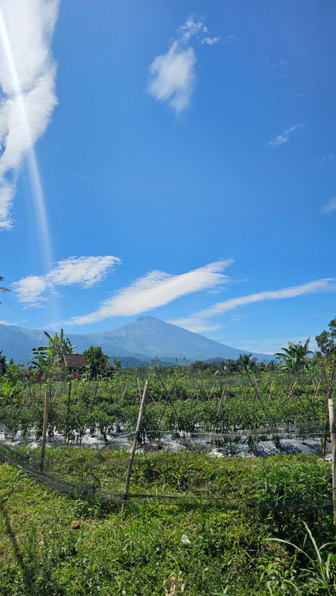Hide And Seek Tetebatu Bagian luar foto